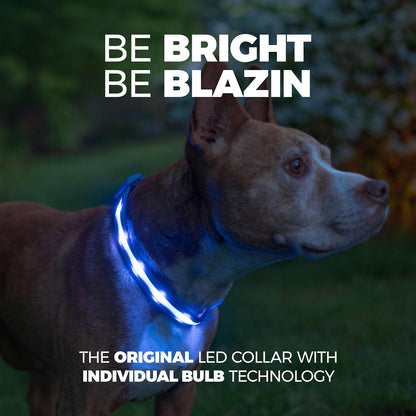 LED Dog Collar - Original USB Rechargeable and Waterproof Design - 1,000 Feet Visibility - Suitable for Small, Medium, and Large Dogs - Trusted US Brand